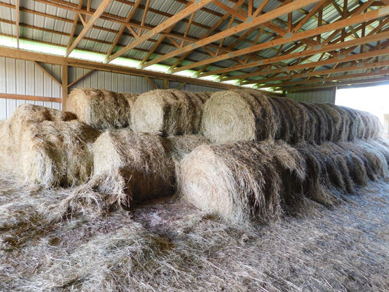 Image for SATURDAY, MAY 29th * 10:00 AM