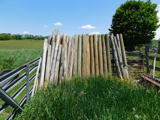 Image for SATURDAY, MAY 29th * 10:00 AM