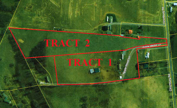 Image for SATURDAY, MAY 29th * 10:00 AM