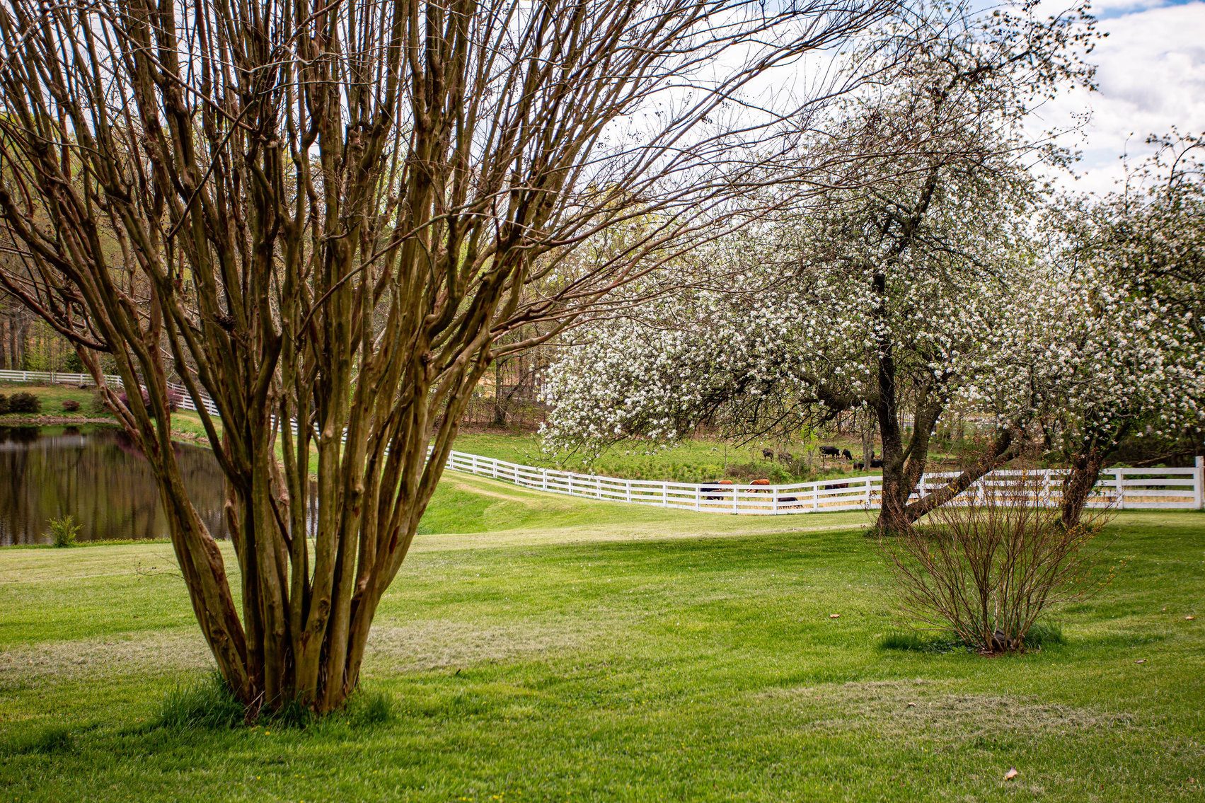 Image for 4 BR/2 BA Farm House, Barns, Fencing & 2 Ponds on 57.5 +/- Acres in Fauquier County, VA--SELLING to the HIGHEST BIDDER!!