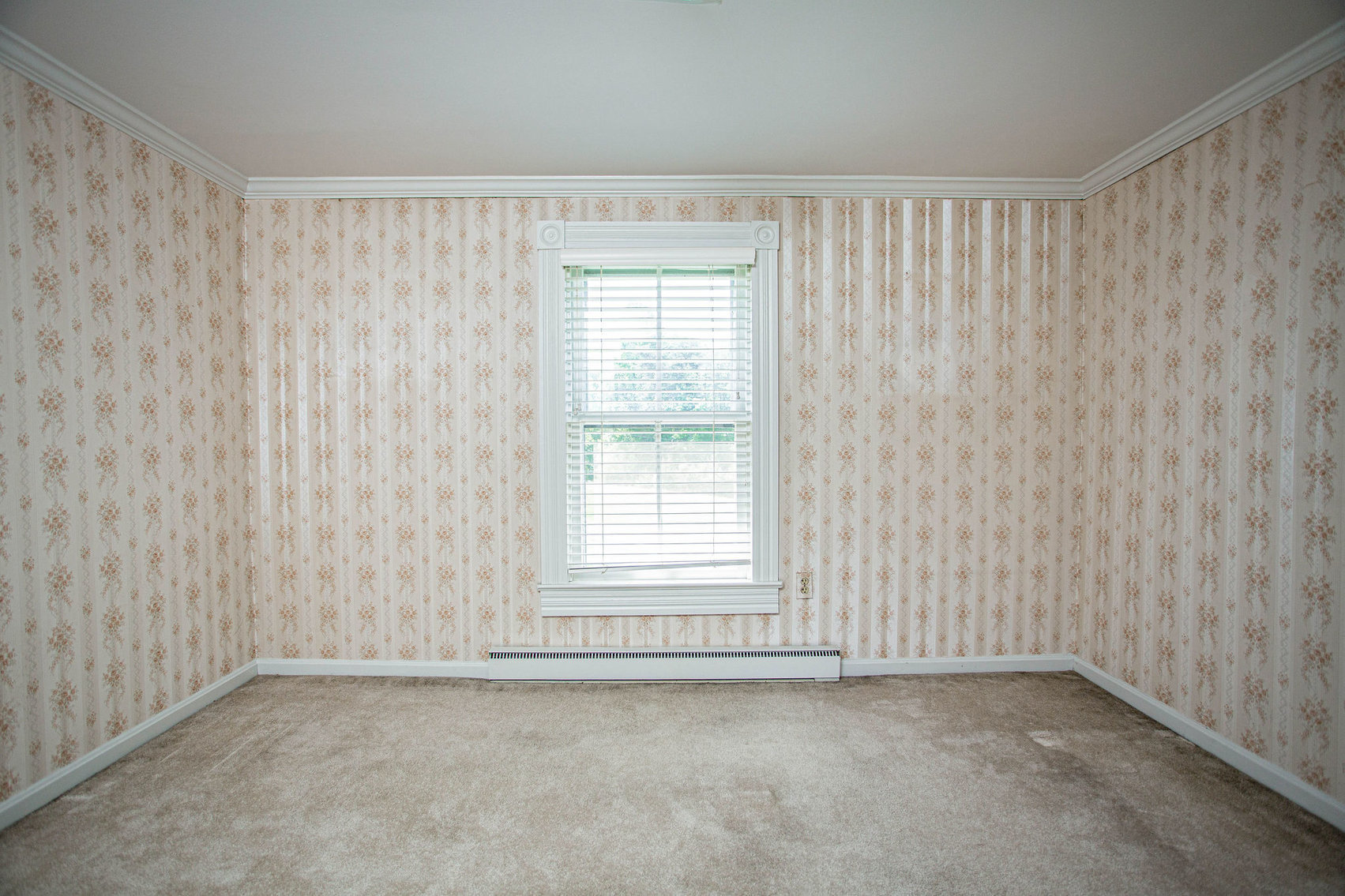 Image for 4 BR/2 BA Farm House, Barns, Fencing & 2 Ponds on 57.5 +/- Acres in Fauquier County, VA--SELLING to the HIGHEST BIDDER!!