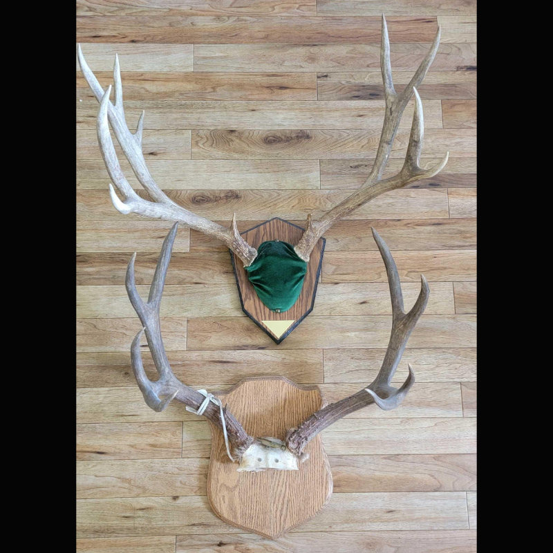 Image for Abbott Estate Auction 2021