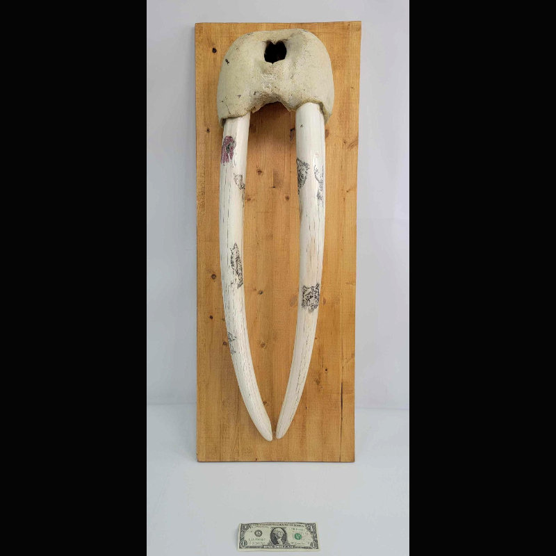 Image for May 2021 Curiosities Auction