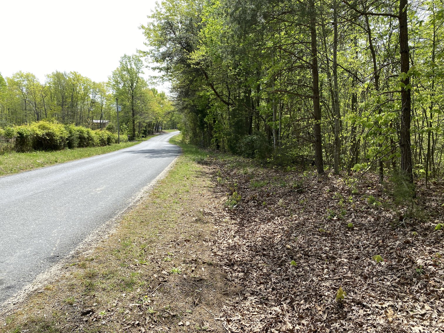 Image for 16.7 +/- Acres of Wooded Land in Madison County, VA--SELLS to the HIGHEST BIDDER!!
