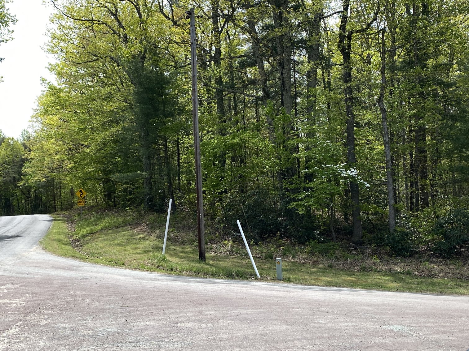 Image for 16.7 +/- Acres of Wooded Land in Madison County, VA--SELLS to the HIGHEST BIDDER!!