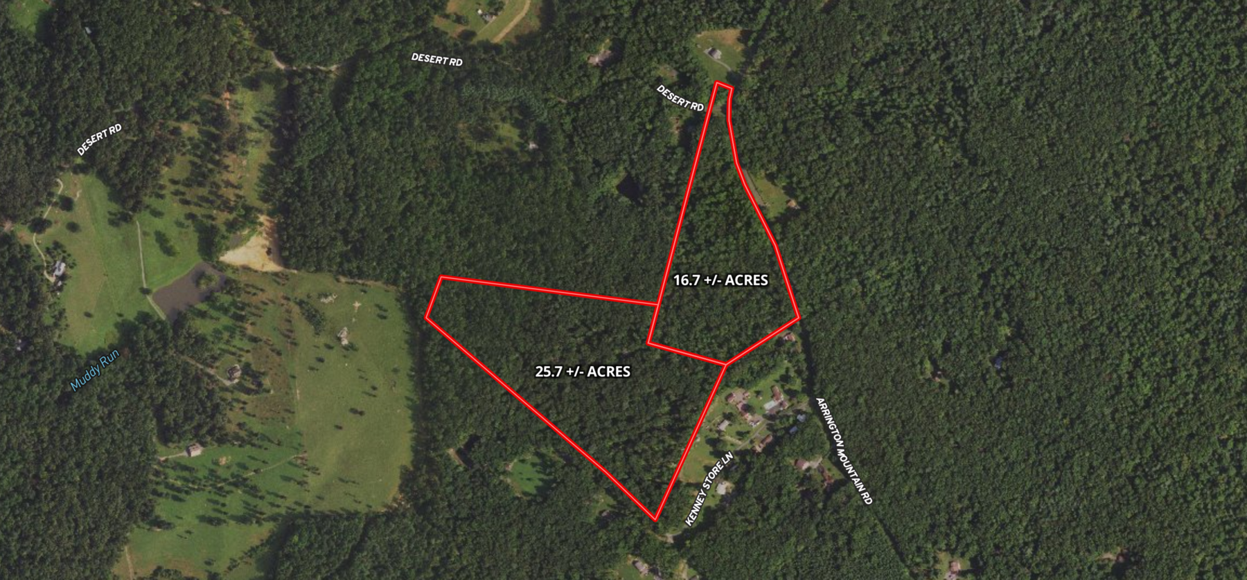 Image for 25.7 +/- Acres of Wooded Land in Madison County, VA--SELLS to the HIGHEST BIDDER!!