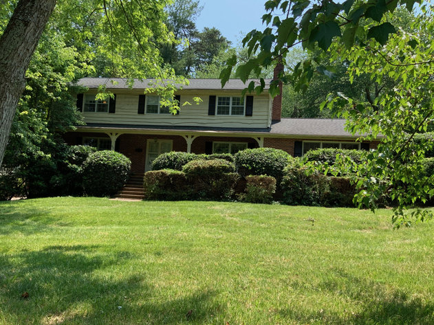 Image for Amazing Sherwood Forest Location