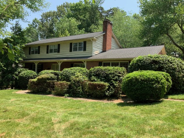 Image for Amazing Sherwood Forest Location