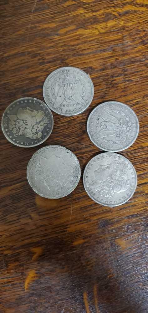 Image for June 5th Live Auction!!!