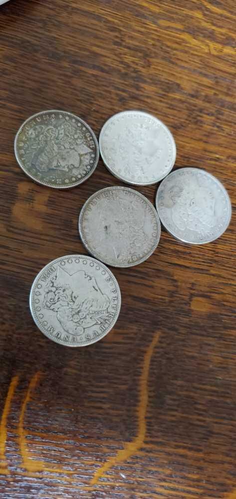 Image for June 5th Live Auction!!!