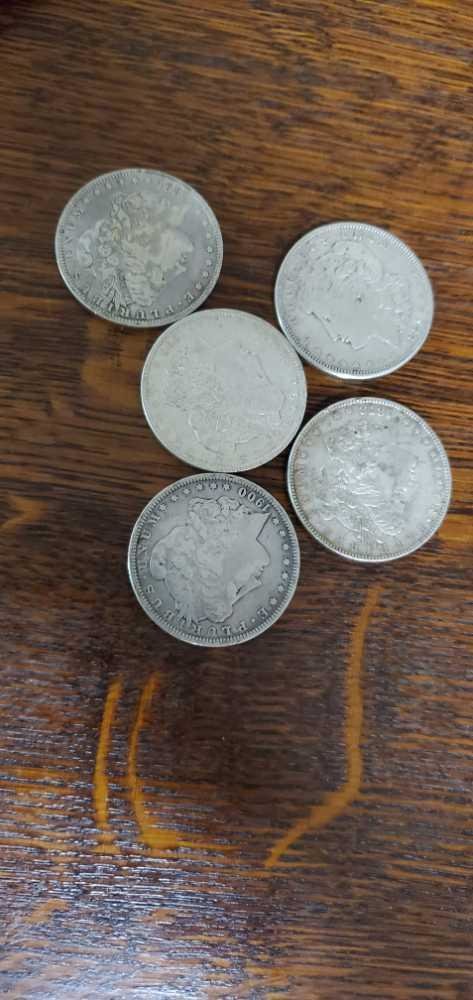 Image for June 5th Live Auction!!!