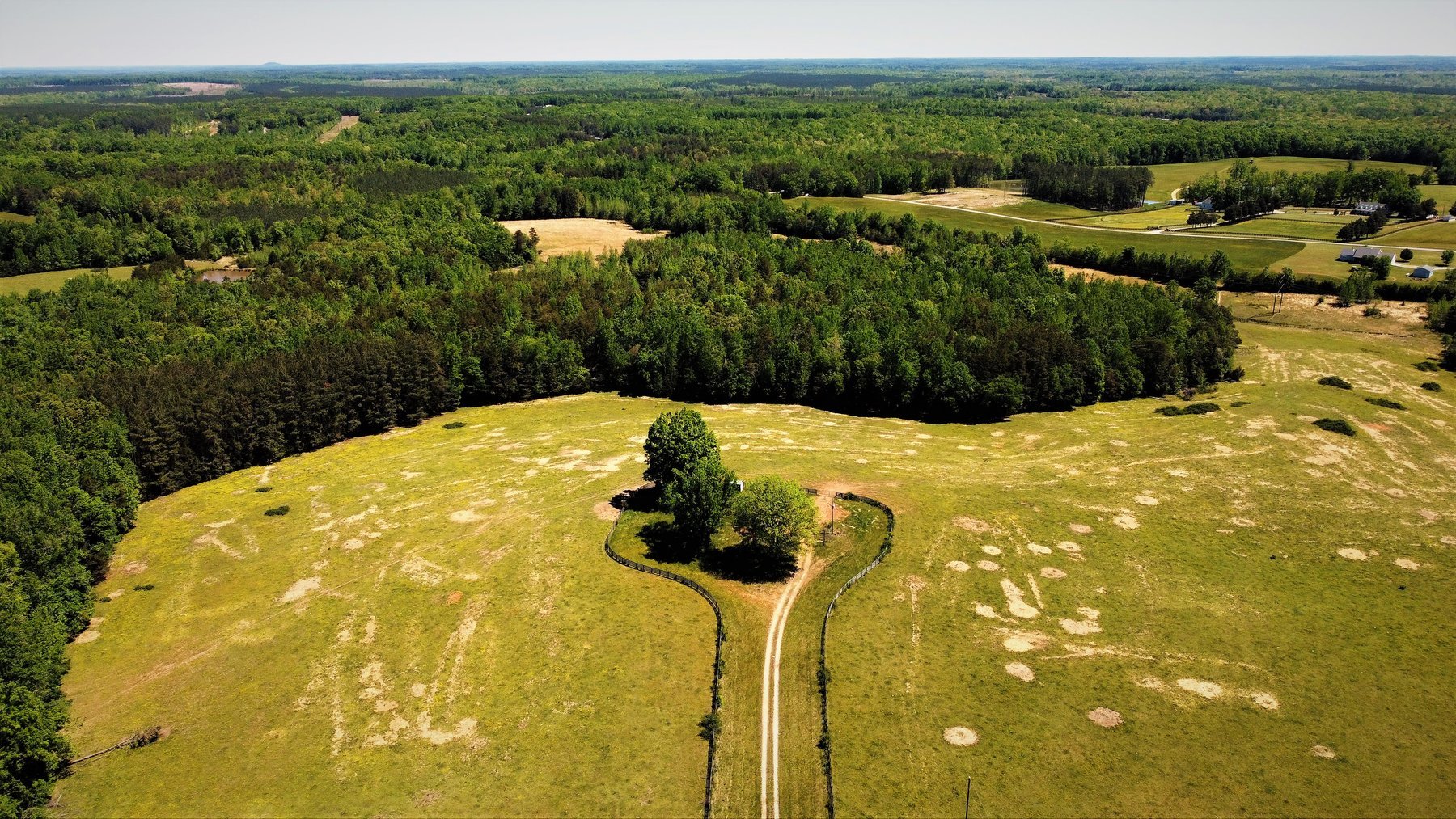 Image for 118 +/- Acres of Timber & Fenced Pasture Land--Lunenburg County, VA