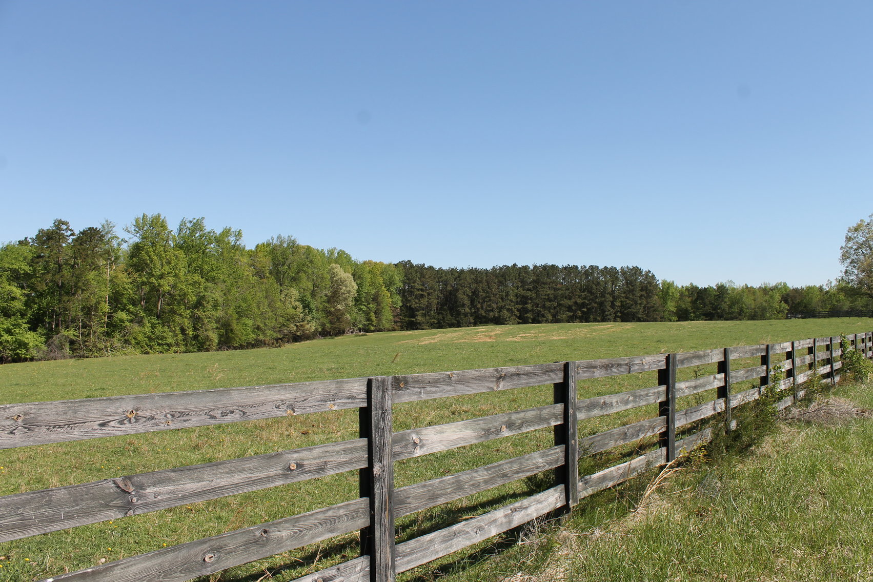 Image for 118 +/- Acres of Timber & Fenced Pasture Land--Lunenburg County, VA
