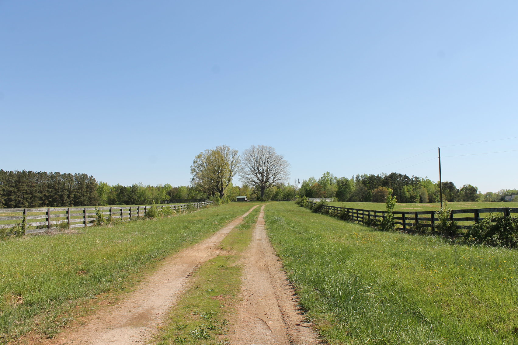 Image for 118 +/- Acres of Timber & Fenced Pasture Land--Lunenburg County, VA