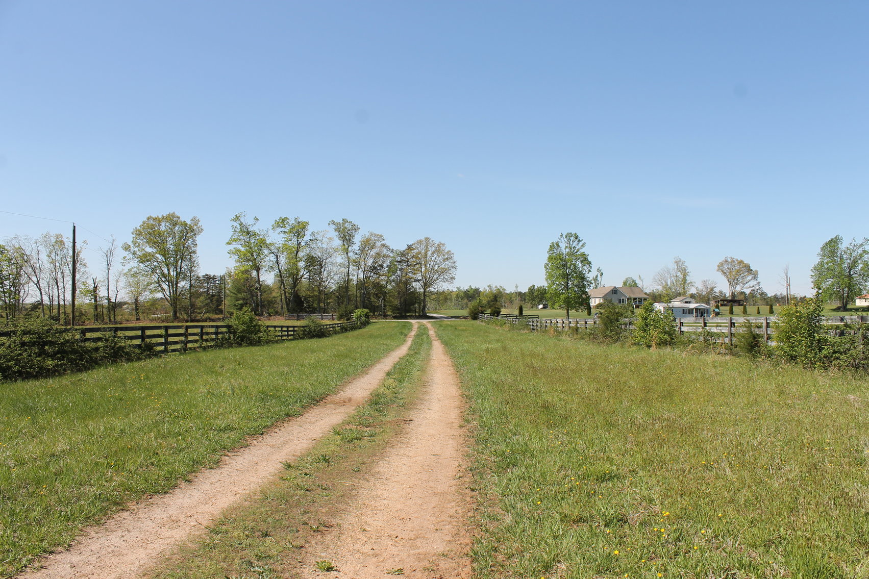 Image for 118 +/- Acres of Timber & Fenced Pasture Land--Lunenburg County, VA