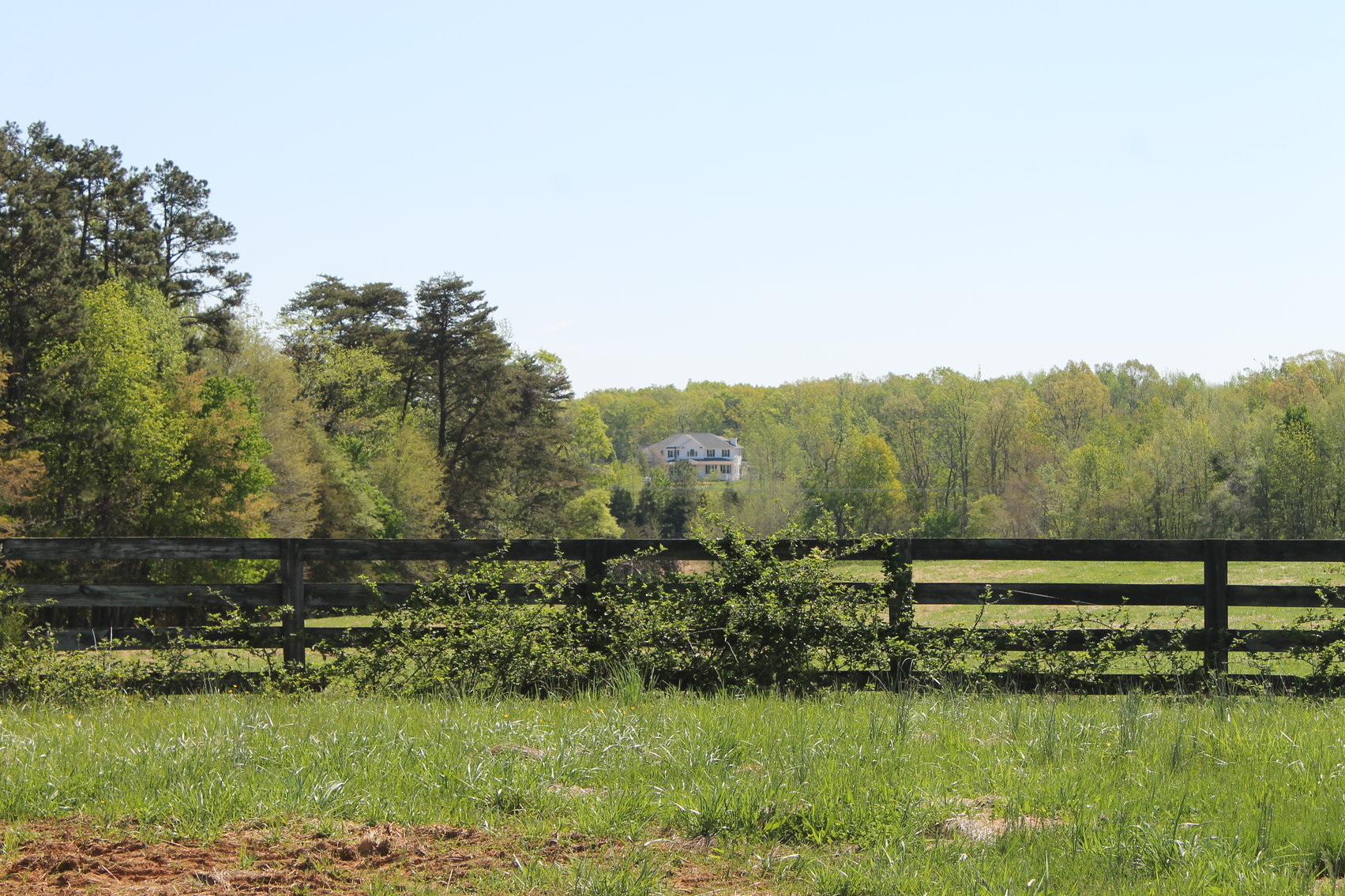 Image for 118 +/- Acres of Timber & Fenced Pasture Land--Lunenburg County, VA