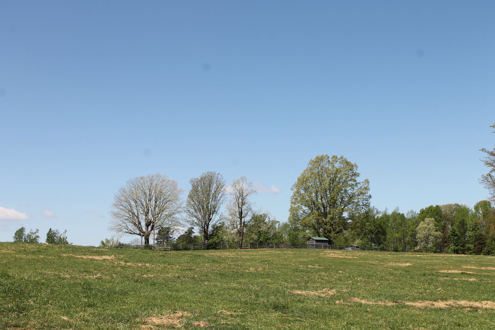 Image for 118 +/- Acres of Timber & Fenced Pasture Land--Lunenburg County, VA