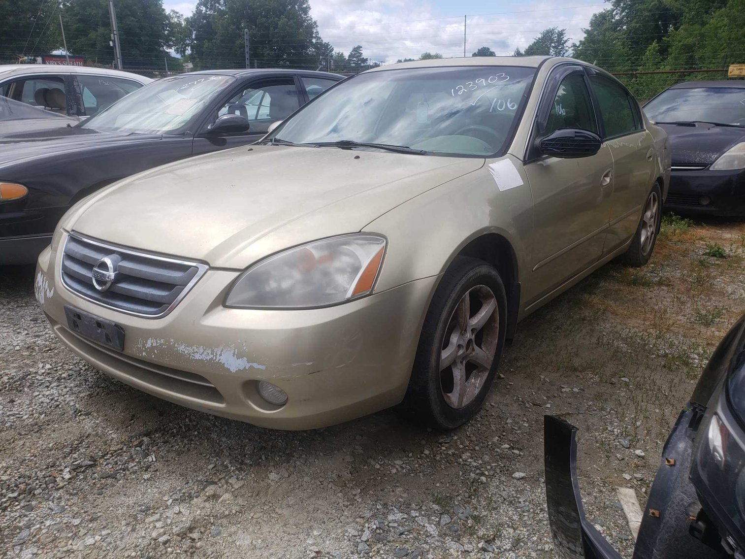 Image for June Auction