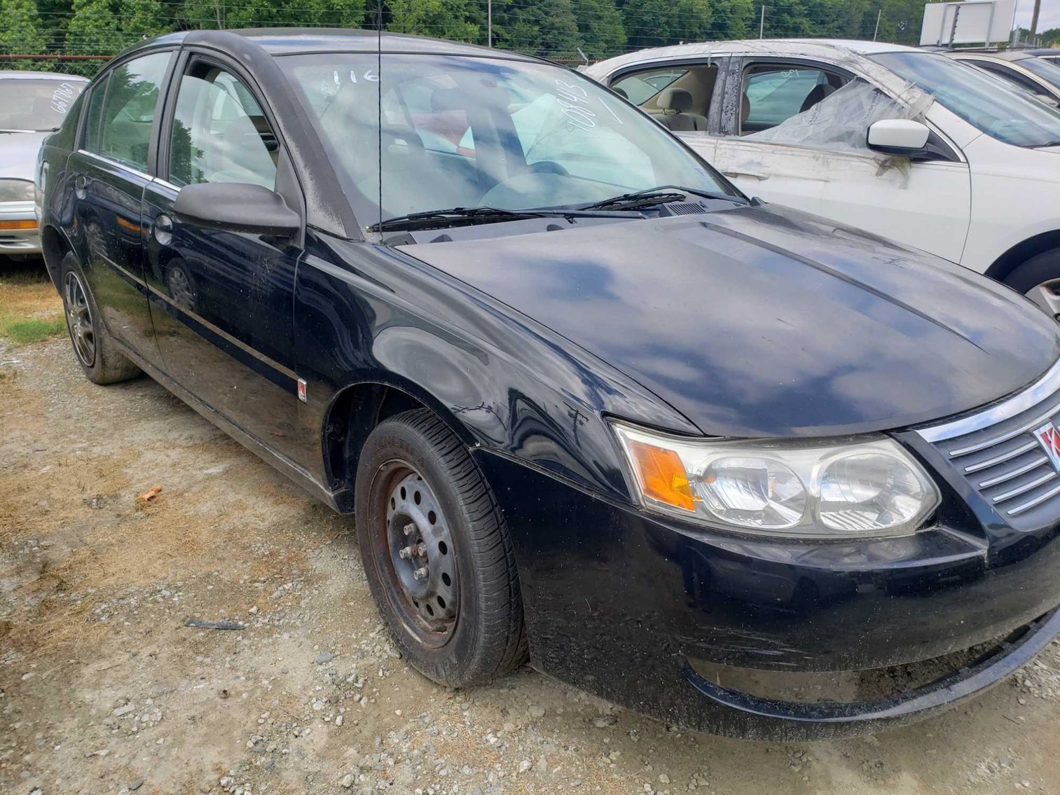 Image for June Auction