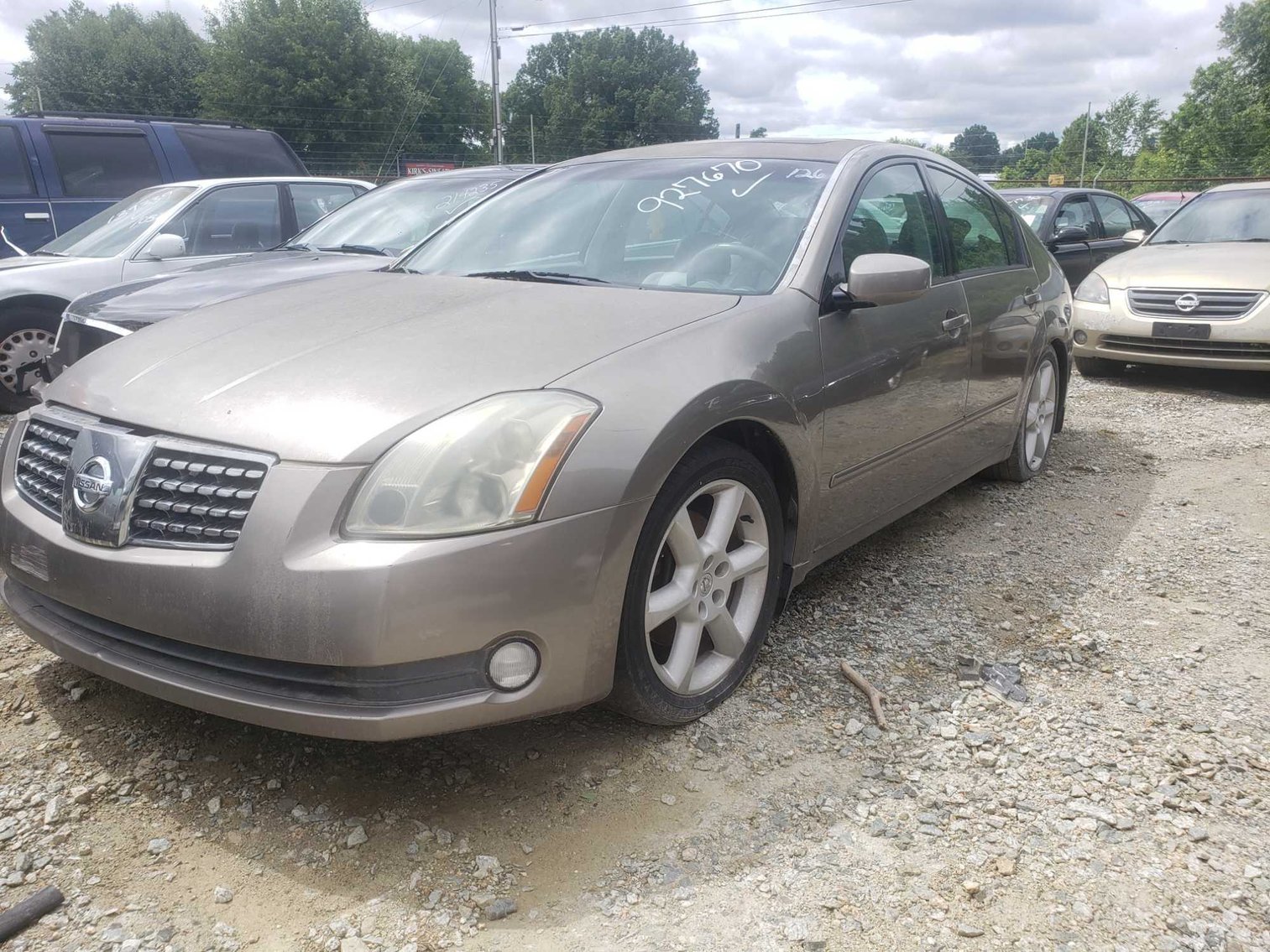 Image for June Auction