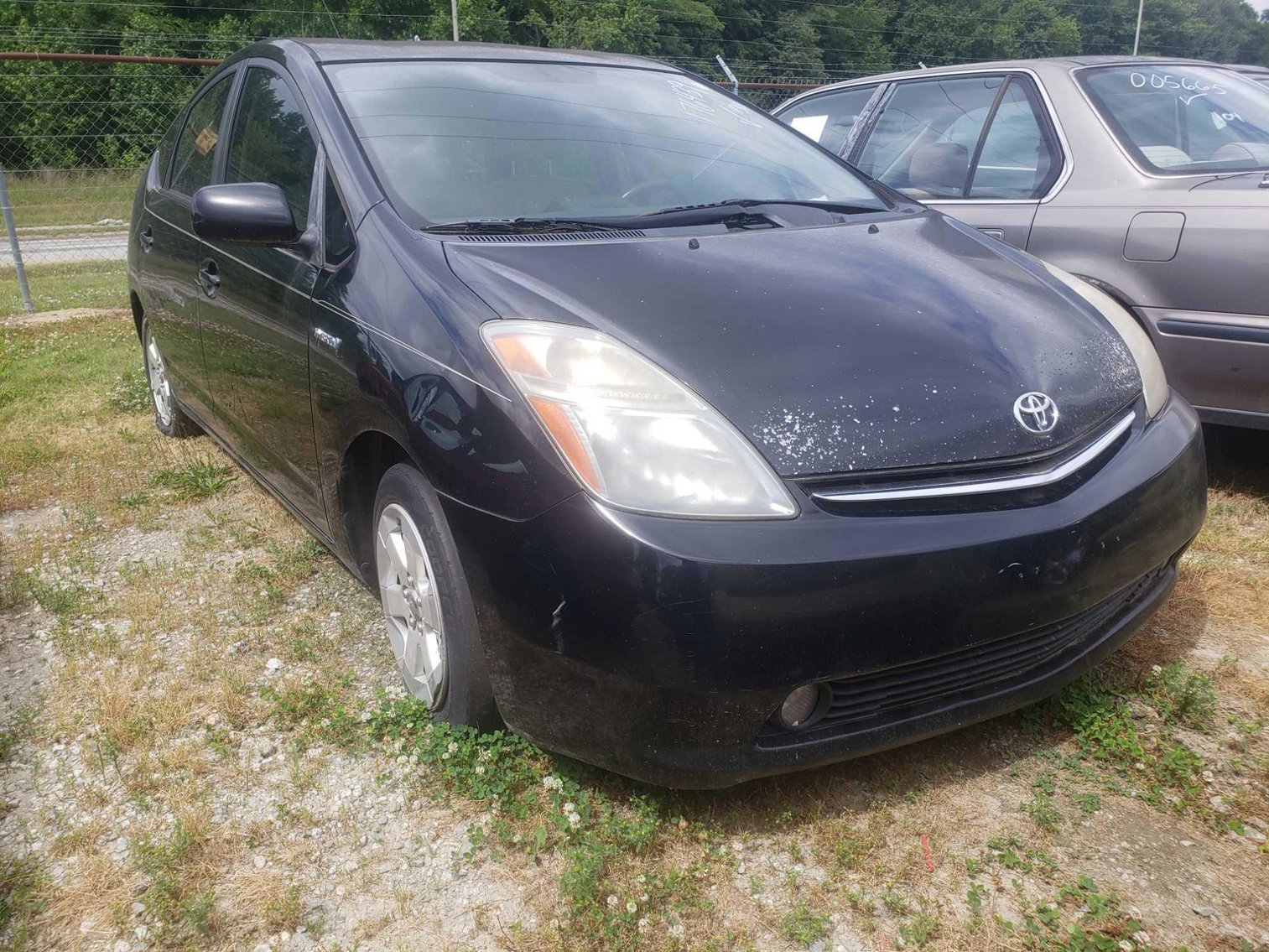 Image for June Auction