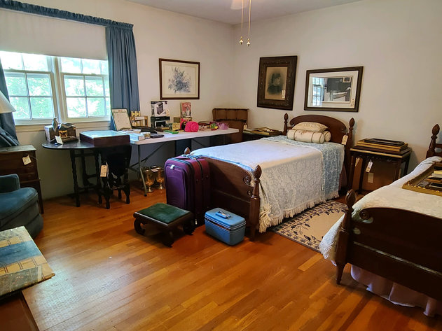 Image for Amazing Sherwood Forest Location