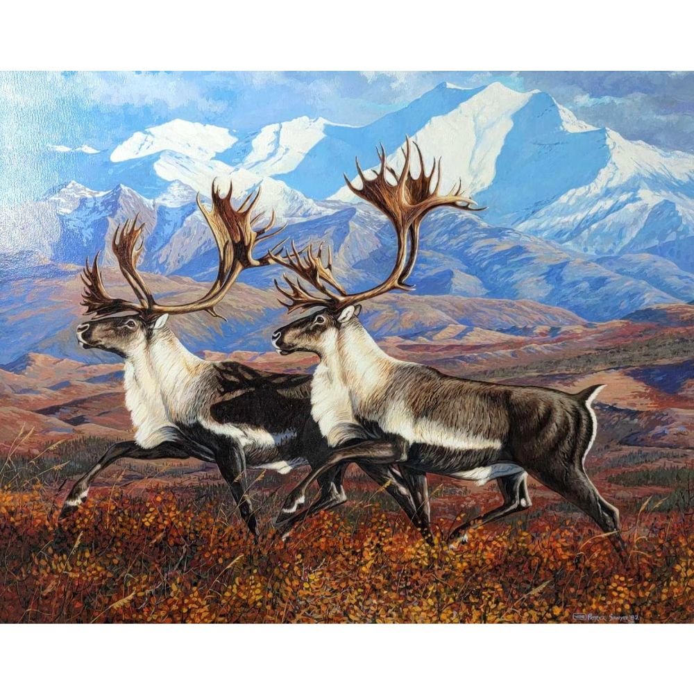 Image for June 2021 Discovery Auction