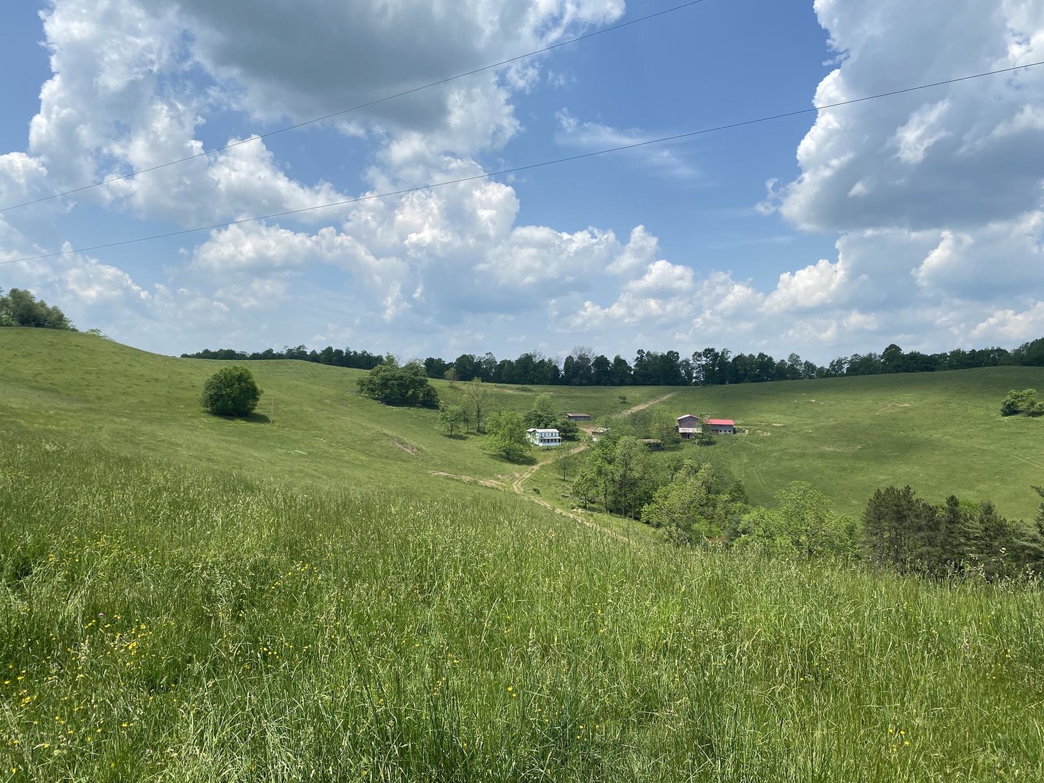 83 Acre Moatsville Farm
