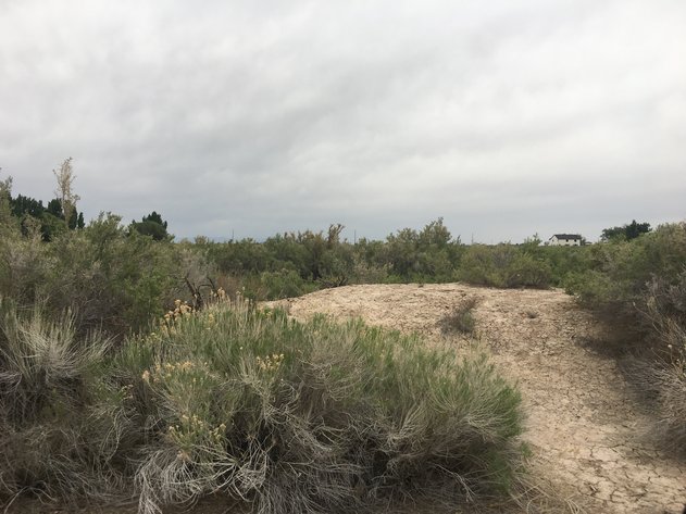 Image for #21-008 Utah Department of Transportation (UDOT)