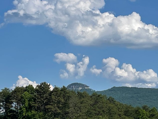 Image for Surry County Home with acreage