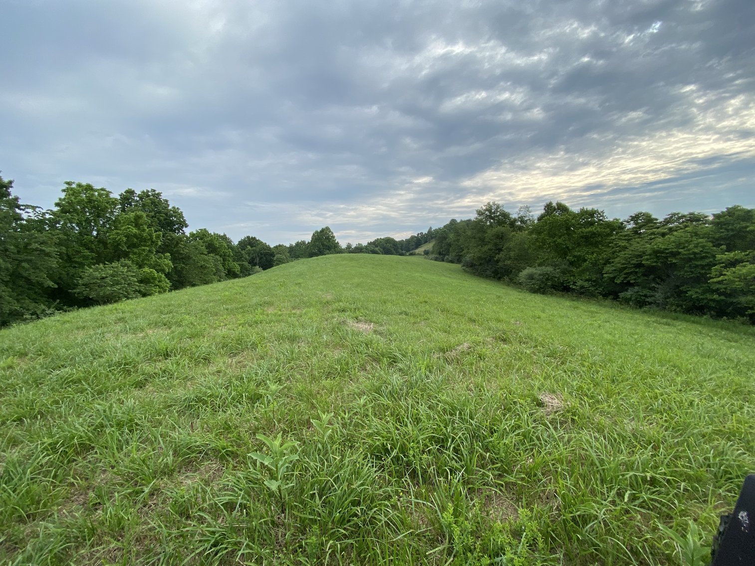 Image for Real Estate Auction