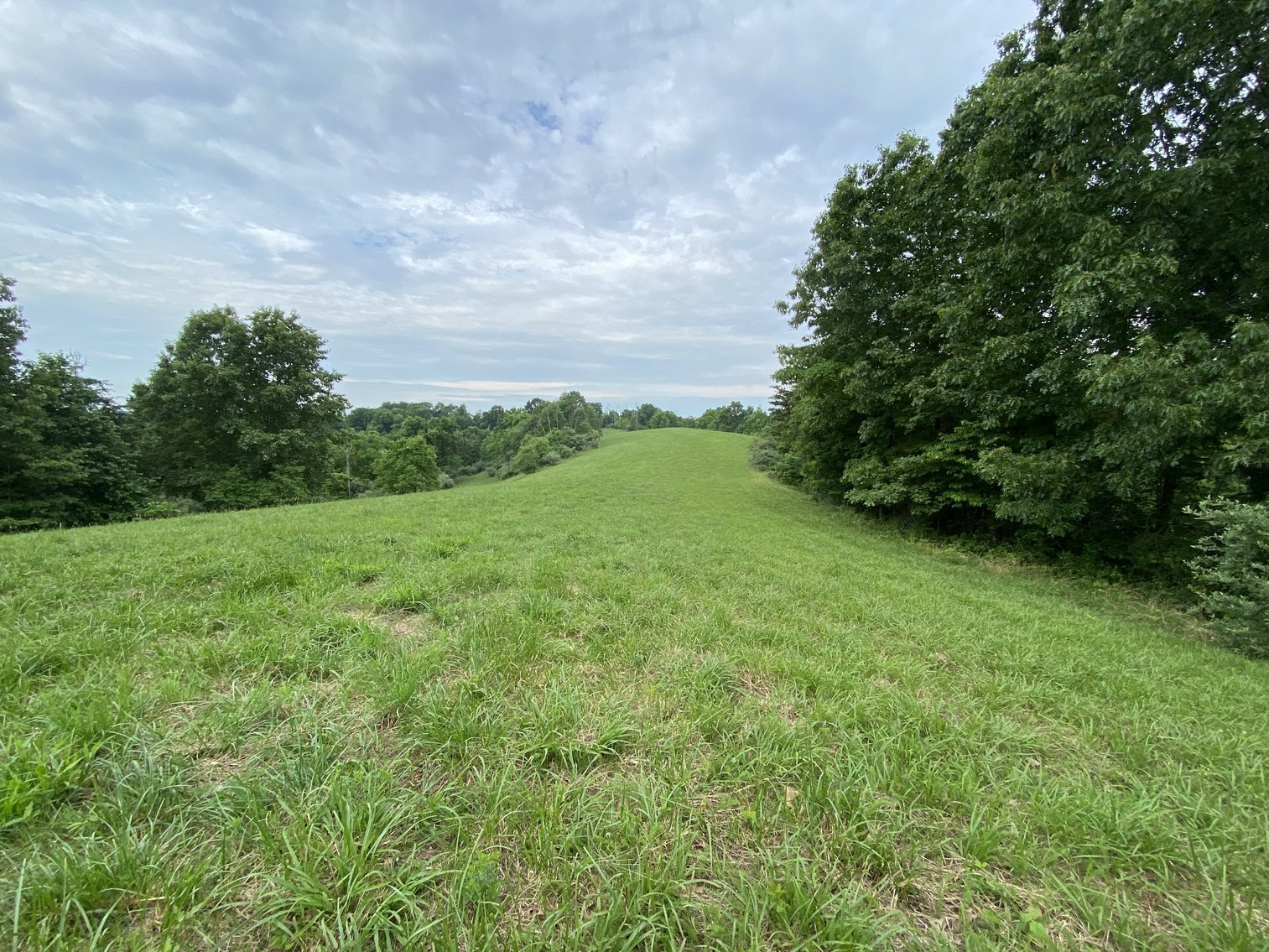 Image for Real Estate Auction