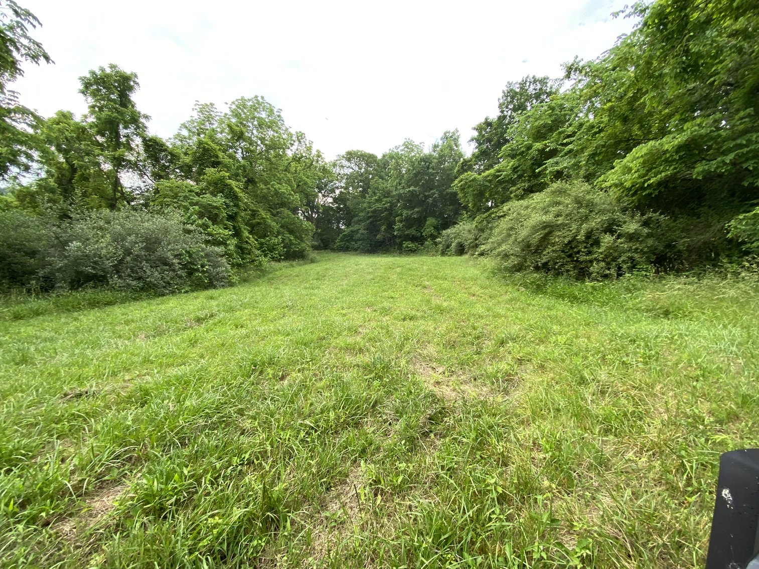 Image for Real Estate Auction