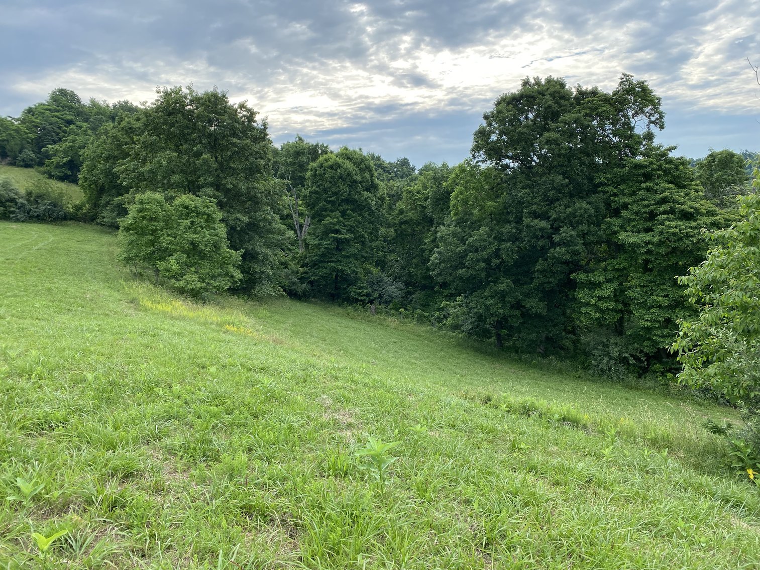 Image for Real Estate Auction