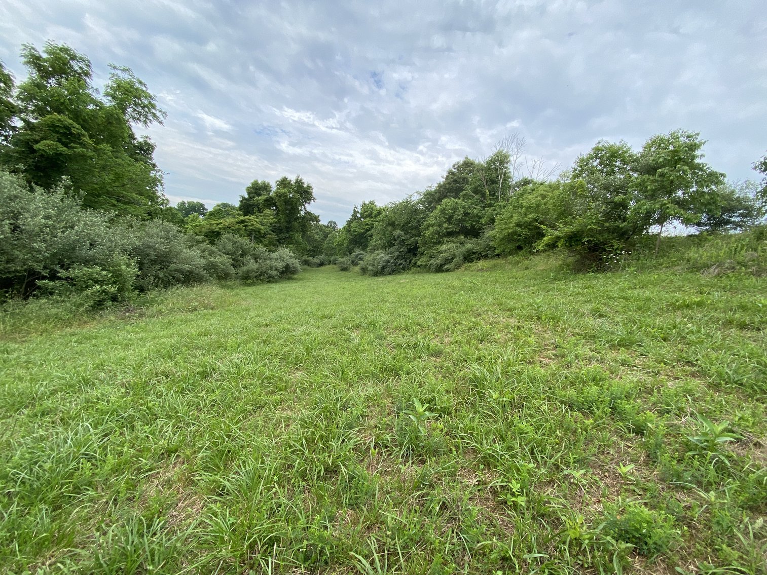 Image for Real Estate Auction