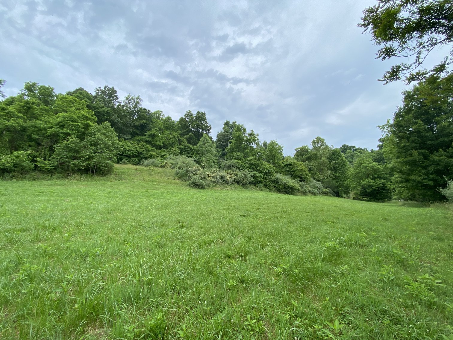 Image for Real Estate Auction