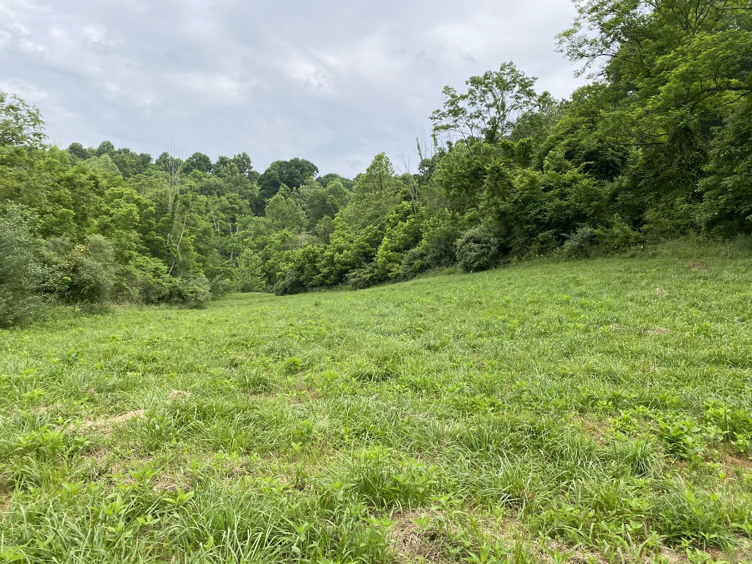 Image for Real Estate Auction