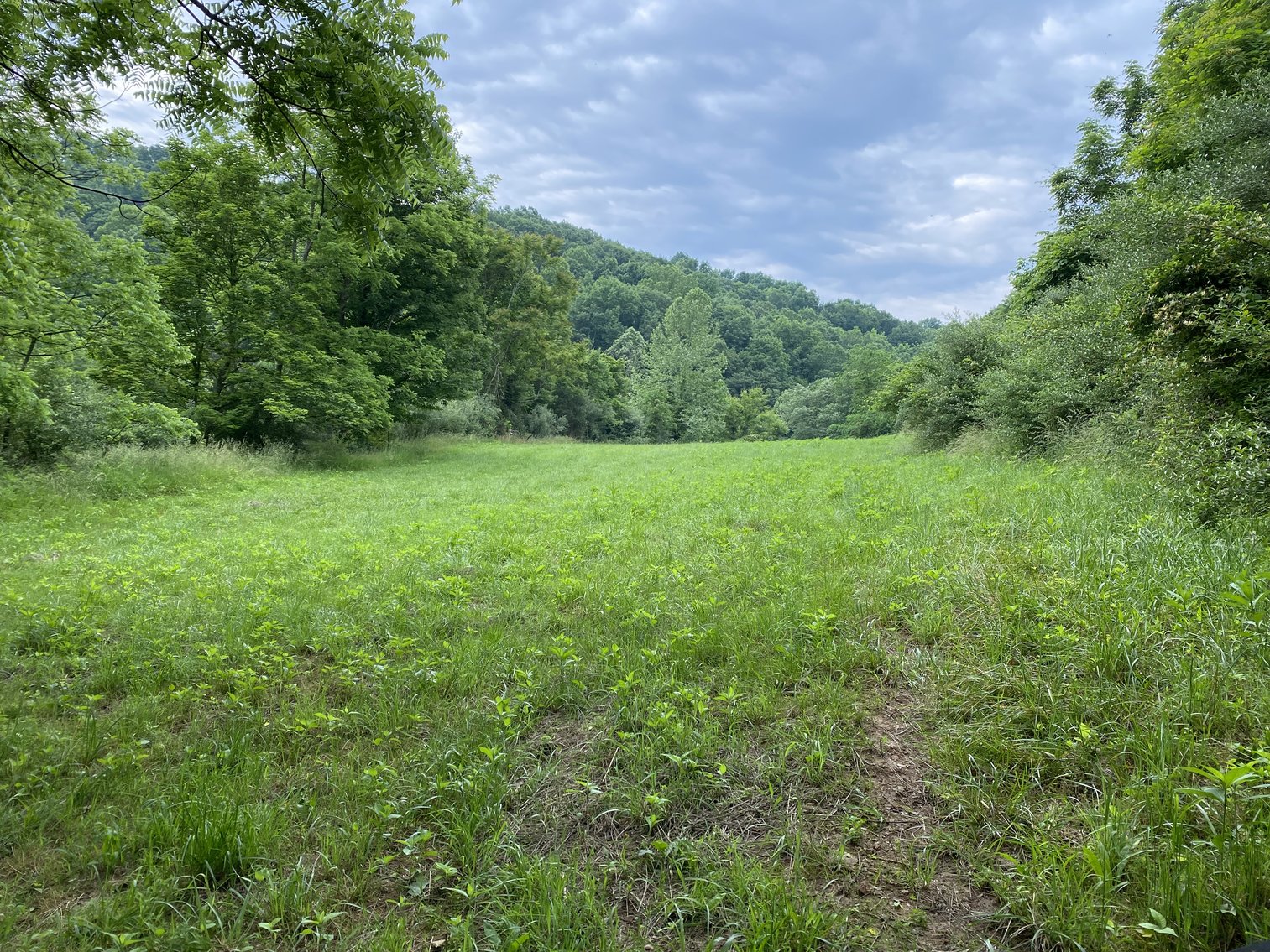 Image for Real Estate Auction