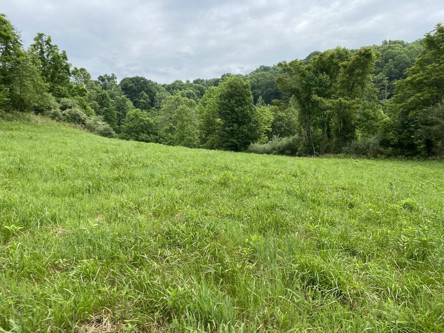 Image for Real Estate Auction