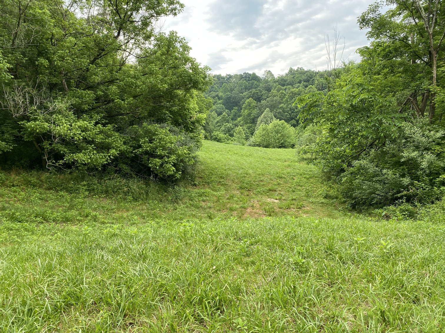 Image for Real Estate Auction