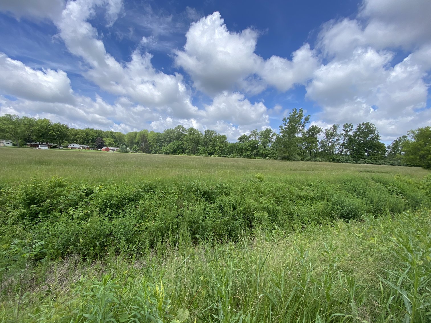 Image for MINIMUM BID AUCTION $59,000! 11717 Brookshire Dr.