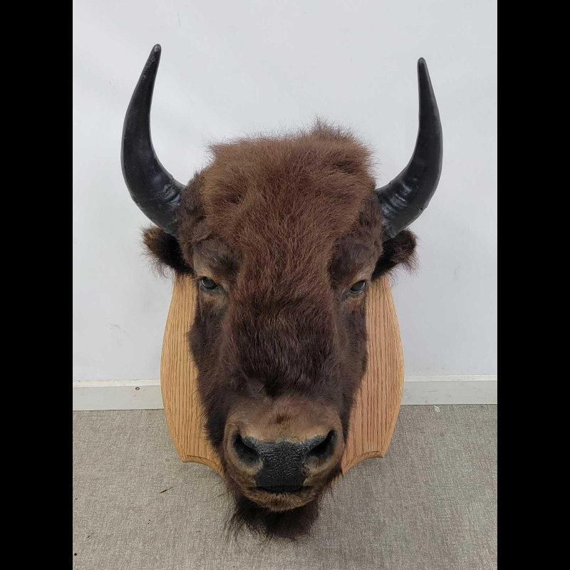 Image for June 2021 Curiosities Auction