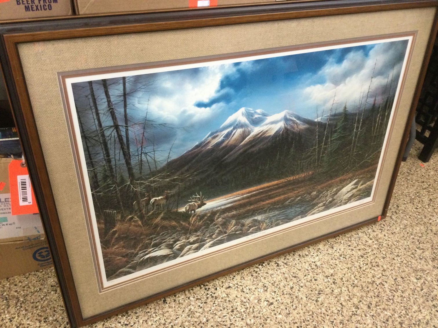 Image for Furniture, Collectibles, Household-Main back