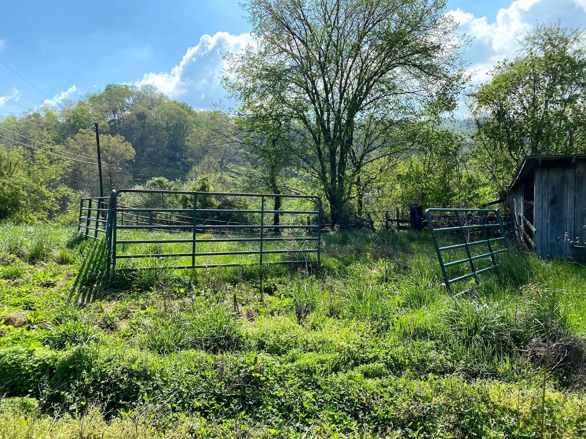 Image for Fisher Farm Auction