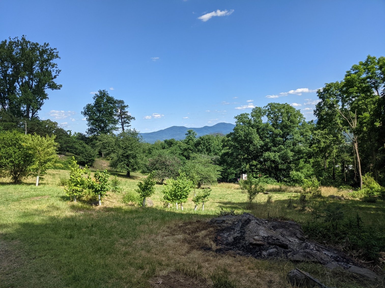 Image for Two Bedroom Home on 3.58 +/- Acres With Beautiful Views In Historic Afton VA