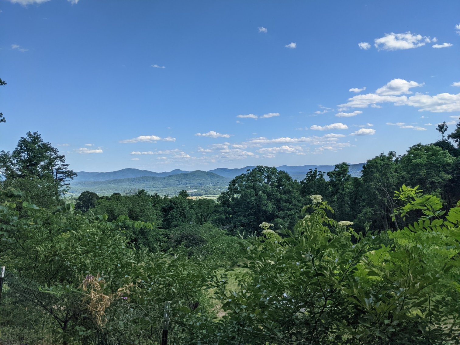 Image for Two Bedroom Home on 3.58 +/- Acres With Beautiful Views In Historic Afton VA