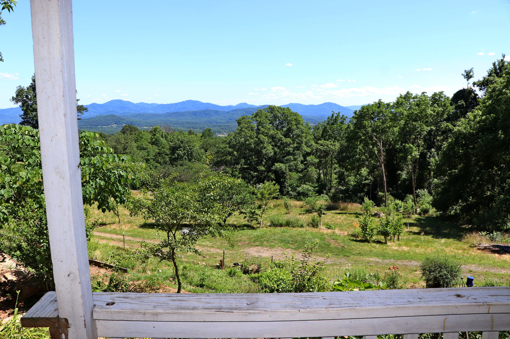 Image for Two Bedroom Home on 3.58 +/- Acres With Beautiful Views In Historic Afton VA