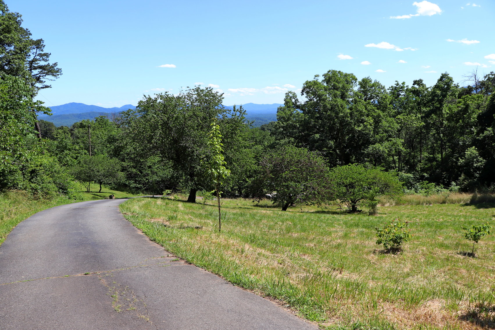 Image for Two Bedroom Home on 3.58 +/- Acres With Beautiful Views In Historic Afton VA