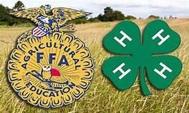 Image for Johnson County MO 4-H & FFA Livestock Auction