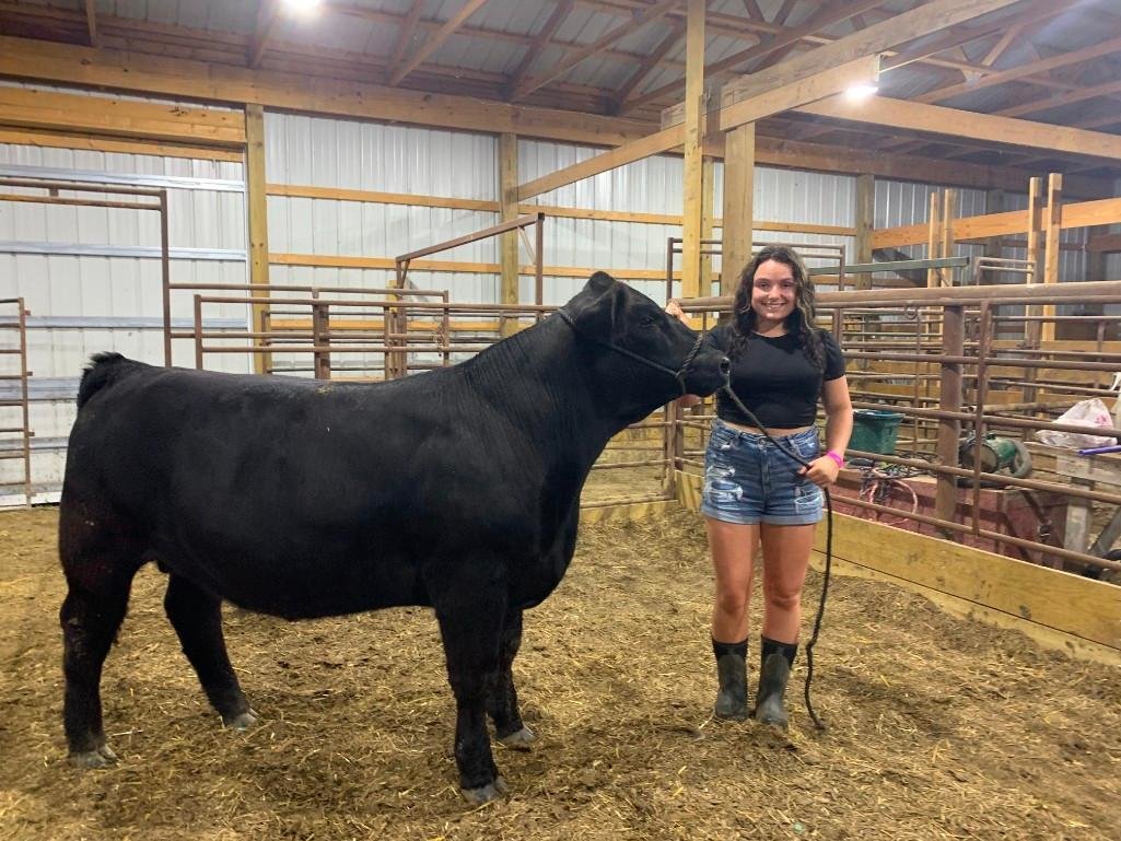 Image for Johnson County MO 4-H & FFA Livestock Auction